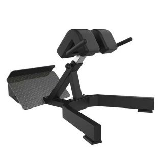 New Design Commercial Roman Chair Back Extension Bench Strength Equipment Home Gym Dumbbell Chair Waist Training Machine