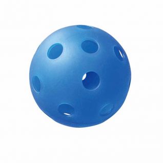 Blue PE Material Pickleball for Pickleball Sport