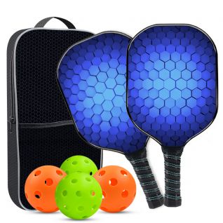 Pickleball Paddle Fiberglass With 4 Balls Pickleball Racket Cushion Grip With Pickleball and Carry Bag